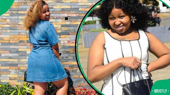 “They have expensive taste”: SA floored by how mice destroyed a Mzansi woman’s valuables in viral TikTok video
