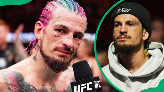 Sean O'Malley's net worth today: how rich is UFC's 'Sugar' star?