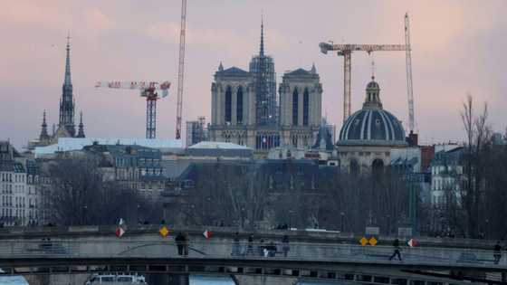 Notre-Dame rebuild 'meeting deadline and budget': project head