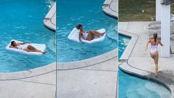 Yoh: Woman bolts out of swimming pool after snake decides to join her for a swim