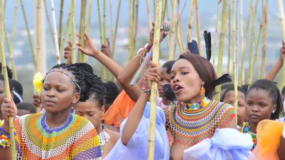 Umemulo ceremony: Everything you need to know about the momentous event