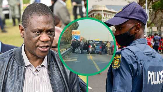 SAPS VIP Protection Unit That Allegedly Beat Up 3 Men Were Assigned to Paul Mashatile, Mzansi in Disbelief