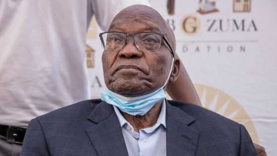 "Something fishy here": SA suspicious about court's decision to grant the media access to Zuma's tax records