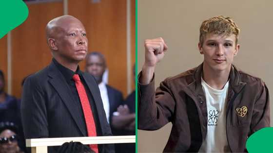 "Prison is their tool to neutralise him": Pieter Kriel reacts to Malema's sentencing, SA divided