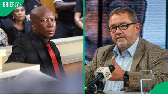 AfriForum files contempt of court application against Malema and EFF over land occupation calls