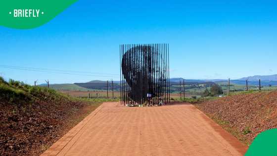 German tourist dies after collapsing at Nelson Mandela memorial site in KwaZulu-Natal