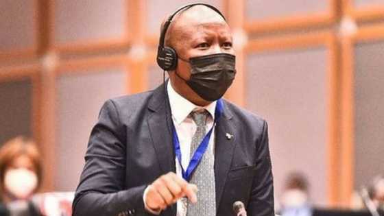 Julius Malema breaks his silence and addresses "I'll kill you" comment