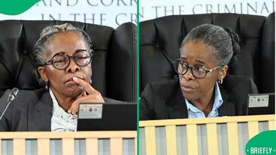 Who Is Advocate Sesi Baloyi? South Africans discover Madlanga Commission star's activist past