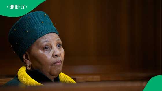 Nosiviwe Mapisa-Nqakula emotional before corruption case is postponed, SA calls it's crocodile tears