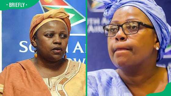 Dudu Myeni: The ambitious go-getter linked to Zuma's rise and fall