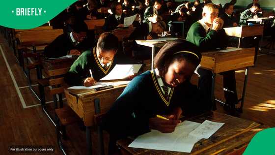 Gauteng Education MEC Maile closes 32 illegal schools, allocates r1.13bn in subsidies