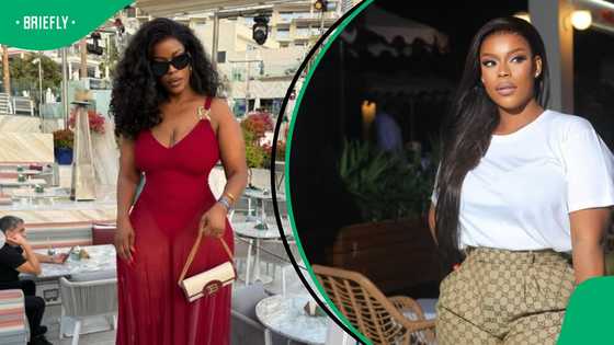 Dineo Moloisane's ex trends for viral breakup song, SA reacts: "This is funny"