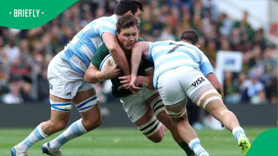 Springboks make history with back-to-back Rugby Championship wins