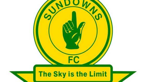 Who is the owner of Mamelodi Sundowns?