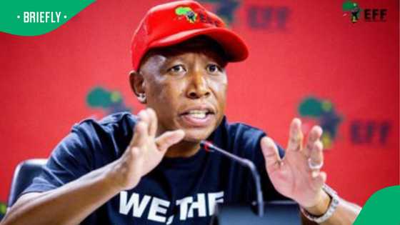 EFF to picket Constitutional Court monthly over Phala Phala judgment delay