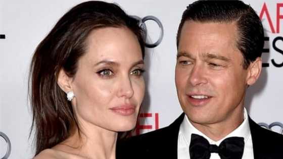 Angelina Jolie claims divorce from Brad Pitt has halted her career
