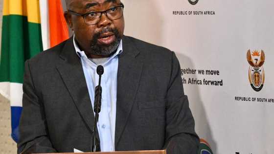 Thulas Nxesi bio: The political journey of South Africa's Minister of Employment and Labour
