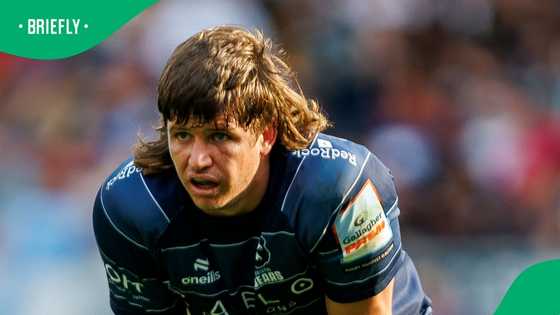 England turn to SA-born star ahead of blockbuster Springboks clash