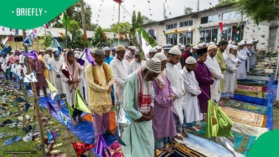 "May Allah grant her Jannah": 12-year-old dies during Islamic livestock ritual after bull goes on rampage