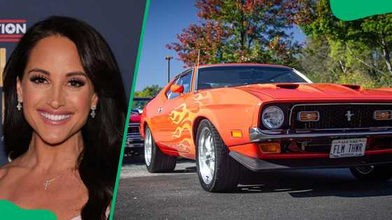 How much is Emily Compagno's net worth? Legal career, Fox News salary