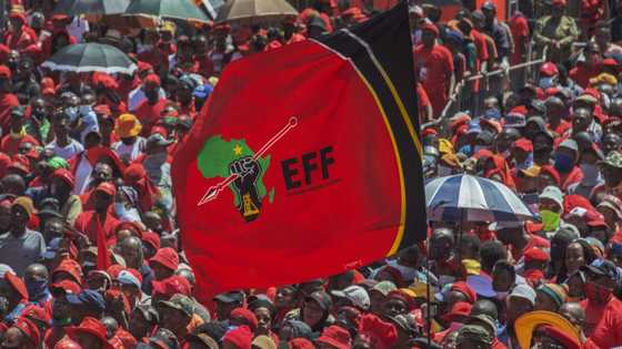 EFF lambasts Mpumalanga officials for bad roads after 4 members die in car accident, 1 person survives