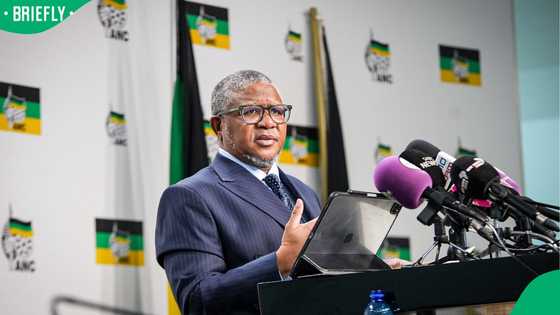 Fikile Mbalula says 30 June national shutdown failed, South Africans challenge his claims