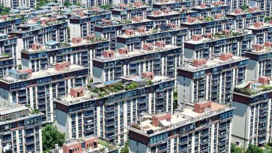 China's Country Garden wins vote on debt to avoid default: Bloomberg