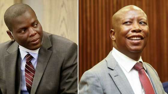 Ronald Lamola slams EFF Leader Julius Malema for changing his tune on Paul Mashatile