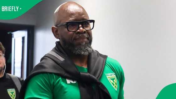 Mamelodi Sundowns’ Steve Komphela accused of punching Brazilian coach after CAF match