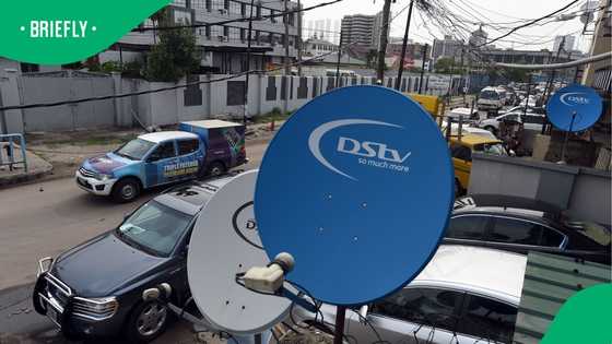 DStv shake-up continues as Canal+ drops 2 popular Mzansi channels
