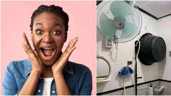 Apartment with R5k rental has wall fan in the toilet causes massive stir online