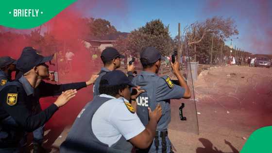 Julius Malema sentencing: EFF supporters and SAPS clash on the N4 in Mpumalanga