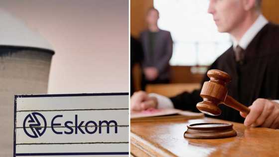 Govt backtracks on state of disaster over Eskom electricity crisis following legal pressure