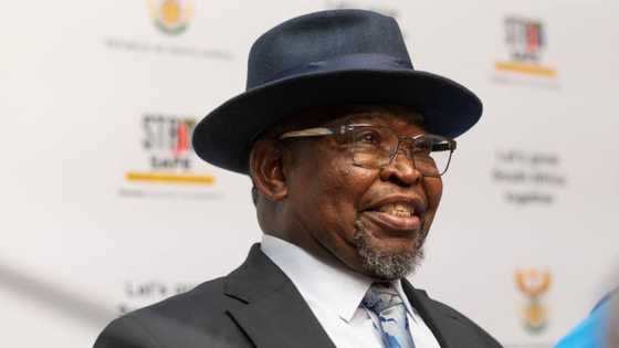 Enoch Godongwana’s wife Thandiwe allegedly appointed in four high-ranking positions in Gauteng government