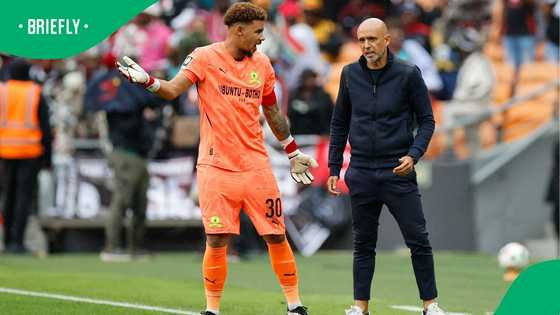 Sundowns strengthen squad as Cardoso seals another signing from Europe