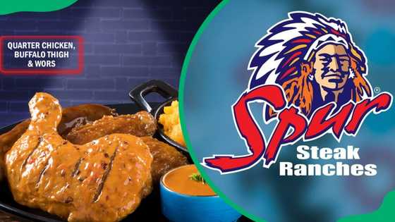 South Africa Spur menu and prices (Updated for 2025)