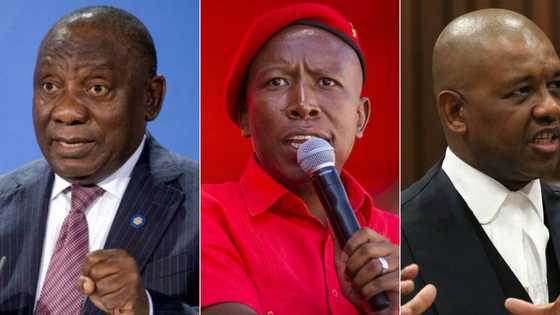 Malema throws serious shade, shares throwback ANC dismissal letter from 2012