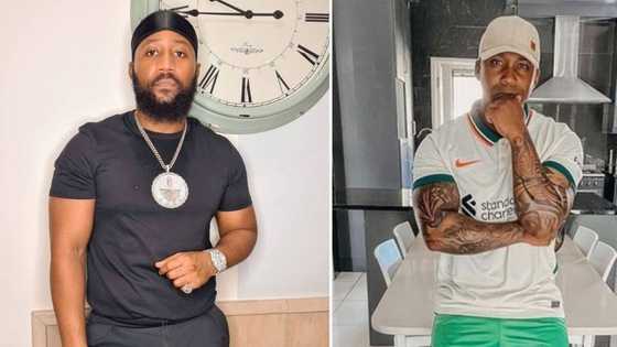 Cassper Nyovest shares that his fight with Naak Musiq won't be streamed, Mzansi has mixed reactions