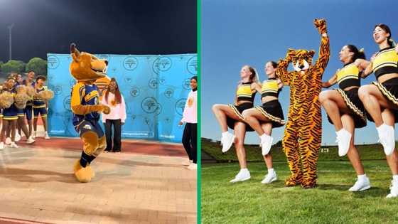 UWC mascot wows crowd with impressive dance moves at rugby match, Mzansi loves it: "UP could never"