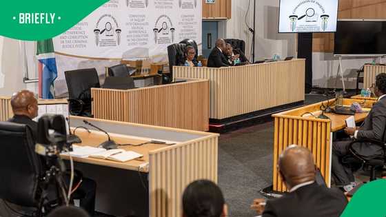 Madlanga Commission: Expert discusses witnesses' safety
