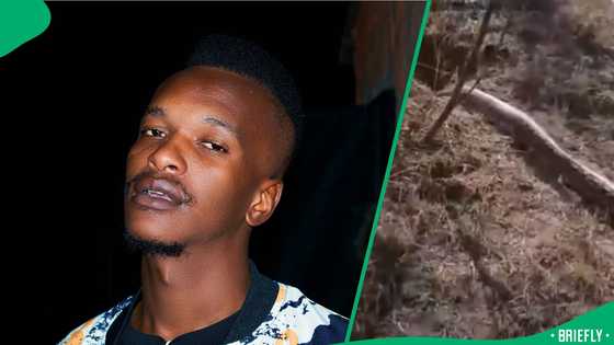 "Call the SPCA unit": Man films a giant snake going into a pit, SA stunned