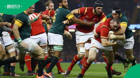 Bulls Veteran and Former Springbok playmaker facing possible retirement