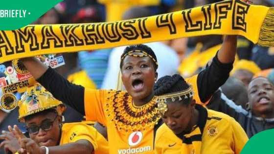 Poll: Who will fill the Kaizer Chiefs hot seat and end their decade-long wait for a title?