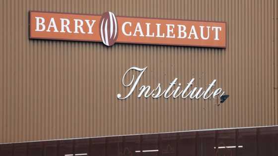 Swiss chocolate giant Barry Callebaut may cut 18% of jobs