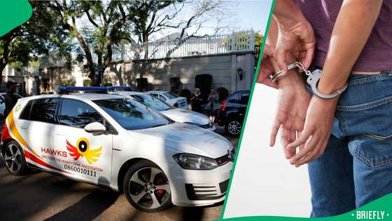 Hawks nab 21-year-old over matric results leak, South Africans surprised by youngster's arrest