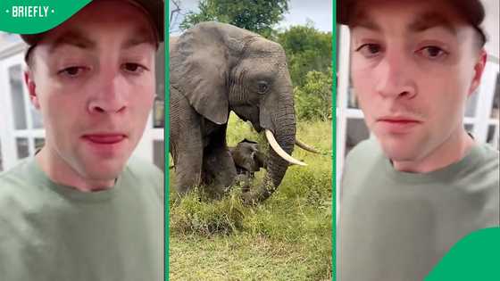 "A land rich in Ubuntu": British-American content creator returns from SA with bad withdrawals