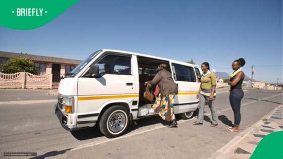 "Social anxiety should fears you": Taxi passengers roast young man's singing in TikTok video, SA amused