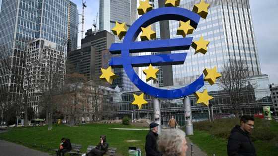 ECB seen holding interest rates one last time