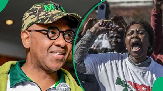 MK party's Dali Mpofu slammed for calling March and March shutdown xenophobic