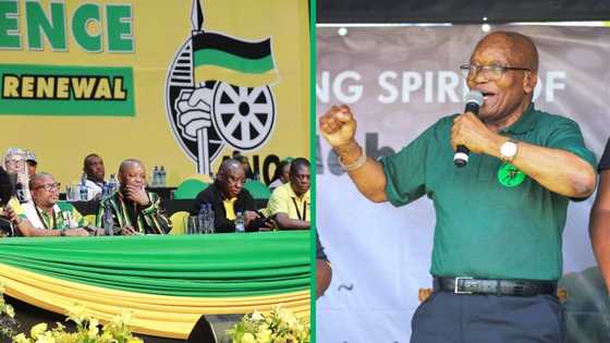 African National Congress NEC to meet to discuss new MK party, South Africans tickled